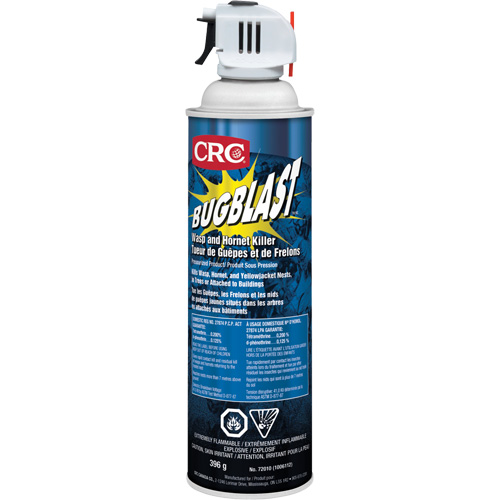 Insecticide Bug Blast, 397 g, &agrave; base de solvant Northern Industrial Supply Inc.