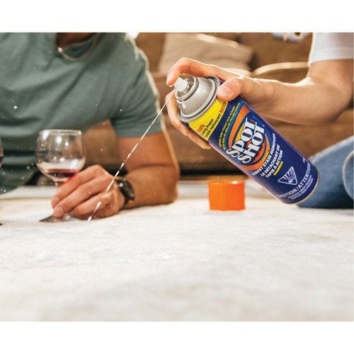 Spot Shot&reg; Professional Instant Carpet Stain Remover, 496 g, Aerosol Can Northern Industrial Supply Inc.