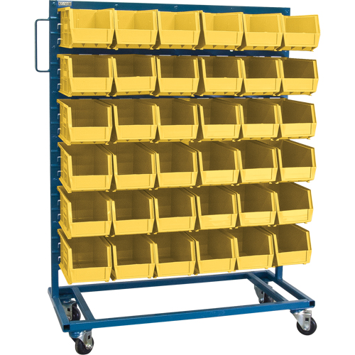 Single-Sided Mobile Bin Rack, Single-sided, 36 bins, 36" W x 16" D x 46-1/2" H Northern Industrial Supply Inc.