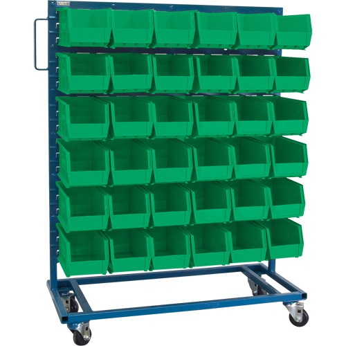 Single-Sided Mobile Bin Rack, Single-sided, 36 bins, 36" W x 16" D x 46-1/2" H Northern Industrial Supply Inc.
