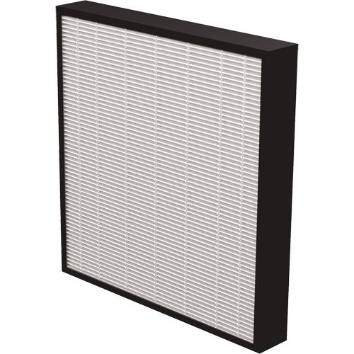 AeraMax&reg; Pro AM3 & AM4 2" True HEPA Filter, Box, 13.75" W x 2.25" D x 14.38" H Northern Industrial Supply Inc.