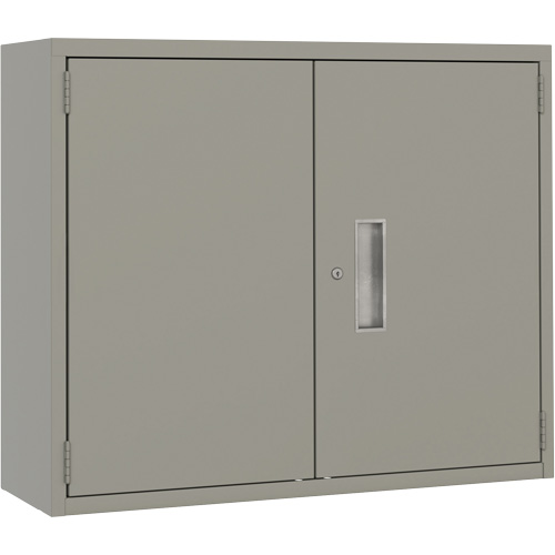 Armoire murale, Acier, 2 Tablettes, 30" h x 36" la x 12" P, Gris Northern Industrial Supply Inc.