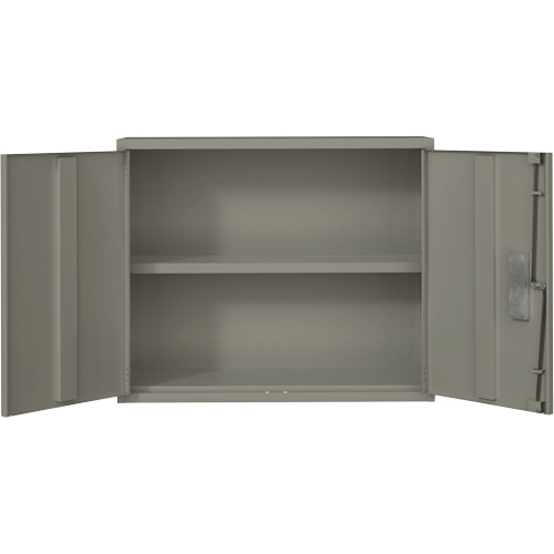 Armoire murale, Acier, 2 Tablettes, 30" h x 36" la x 12" P, Gris Northern Industrial Supply Inc.
