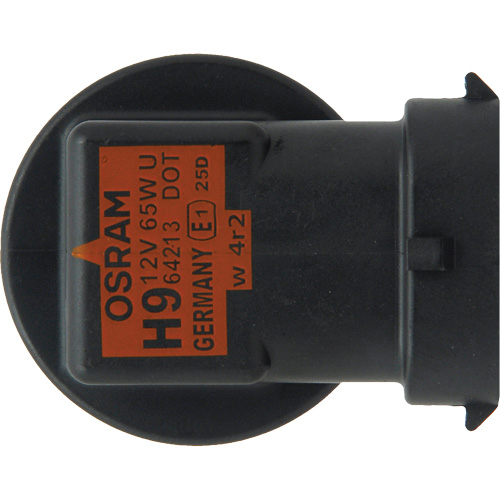 Ampoule de base pour feu avant H89, Halog&egrave;ne, 70 W, Blanc cass&eacute; Northern Industrial Supply Inc.