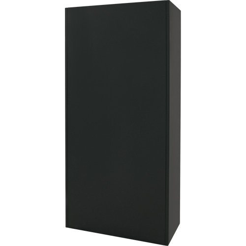 Armoire de rangement combin&eacute;e, 36" la x 18" p x 72" h, Noir Northern Industrial Supply Inc.