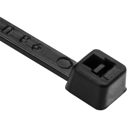 Attaches de c&acirc;ble PA66, Longueur 8", R&eacute;sistance &agrave; la traction 50 lb, Noir Northern Industrial Supply Inc.