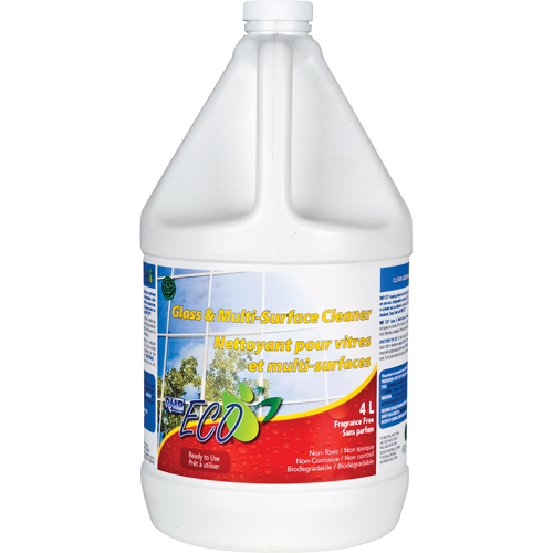 Glass & Multi-Surface Cleaners, 4 L, Jug Northern Industrial Supply Inc.