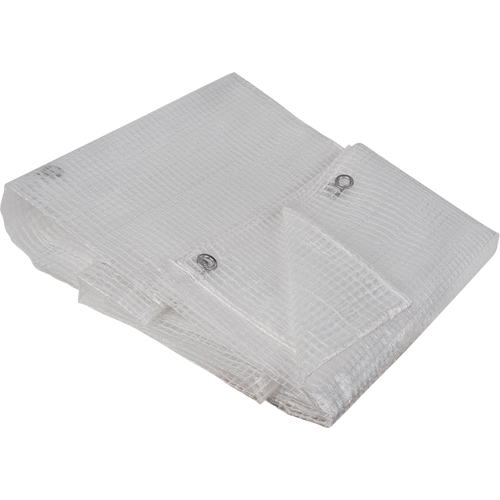 Clear Tarp, 60' x 40' x 8 mils Northern Industrial Supply Inc.
