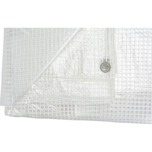 Clear Tarp, 60' x 40' x 8 mils Northern Industrial Supply Inc.