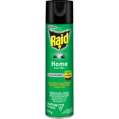 Raid&reg; Home Insect Killer, 350 g, Solvent Base Northern Industrial Supply Inc.