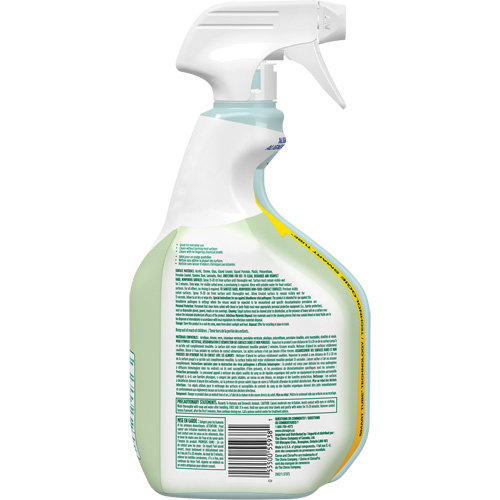 CloroxPro Clorox EcoClean Disinfecting Cleaner, 946 ml, Trigger Bottle Northern Industrial Supply Inc.