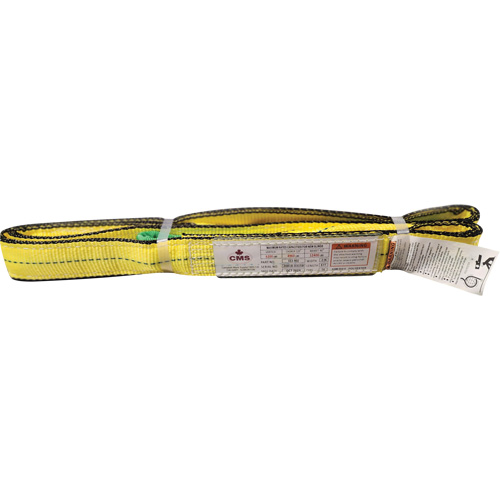 &eacute;lingue en sangle de polyester, Pli Double, Oeillets renvers&eacute;s, Type 4, 2" la x 8' lo, Capacit&eacute; verticale 6400 lb Northern Industrial Supply Inc.