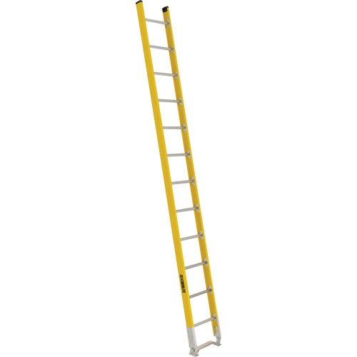 Single Section Straight Ladder - 6100 Series, 12', Fibreglass, 375 lbs., CSA Grade 1AA Northern Industrial Supply Inc.