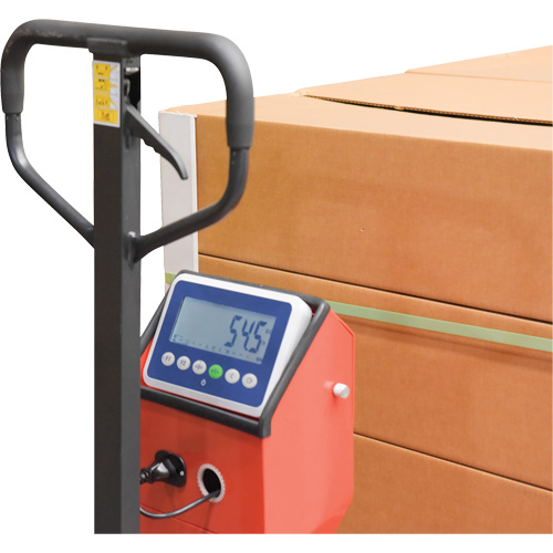Pallet Truck, 48" L x 27.5" W, 5000 lbs. Cap. Northern Industrial Supply Inc.