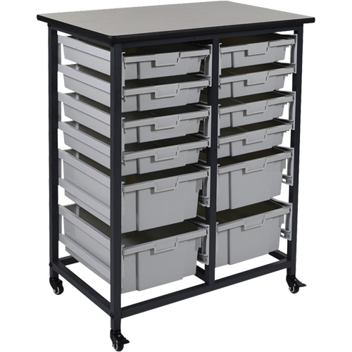 Mobile Bin Storage Unit, Single-sided, 12 bins, 30-3/4" W x 20" D x 37-1/2" H Northern Industrial Supply Inc.
