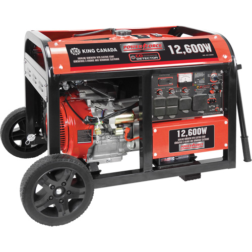 G&eacute;n&eacute;ratrice &agrave; essence &agrave; d&eacute;marreur &eacute;lectrique, 12600 W de surtension, 9000 W nominale, 120 V/240 V, R&eacute;servoir de 31 L Northern Industrial Supply Inc.