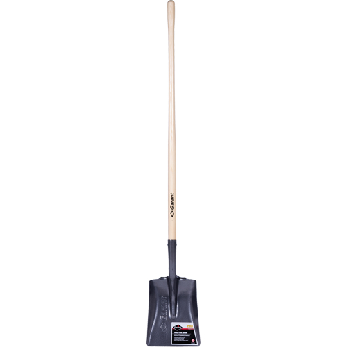 Pro Square Point Shovel, Wood, Tempered Steel Blade, Straight Handle, 48" Long Northern Industrial Supply Inc.