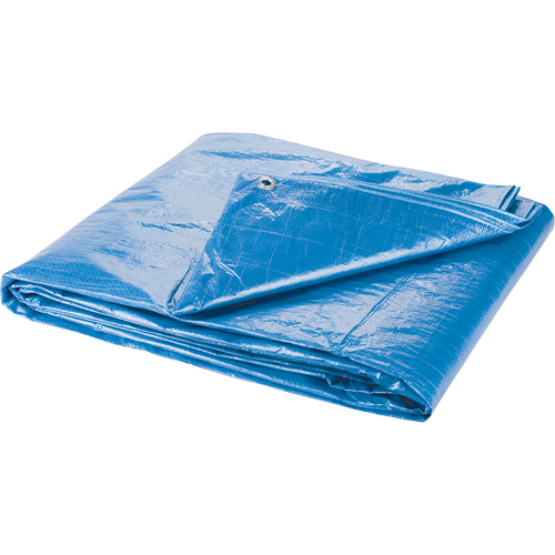 B&acirc;che, Standard, Bleu, 7' x 5' x 4 mils Northern Industrial Supply Inc.