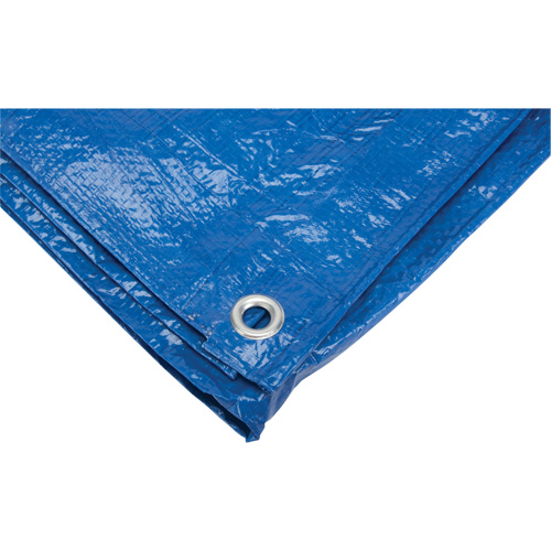 B&acirc;che, Standard, Bleu, 7' x 5' x 4 mils Northern Industrial Supply Inc.