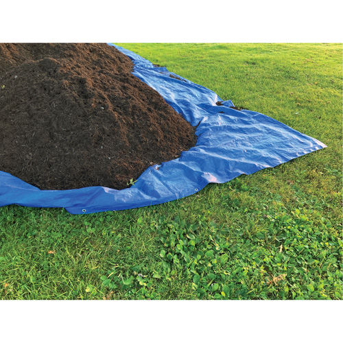 B&acirc;che, Standard, Bleu, 7' x 5' x 4 mils Northern Industrial Supply Inc.