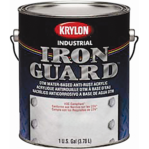 &eacute;mail industriel &agrave; base d'eau Iron Guard, Canette, Gris Northern Industrial Supply Inc.