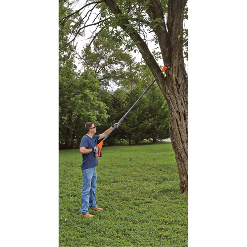 Max* Cordless Pole Pruning Saw Kit Northern Industrial Supply Inc.