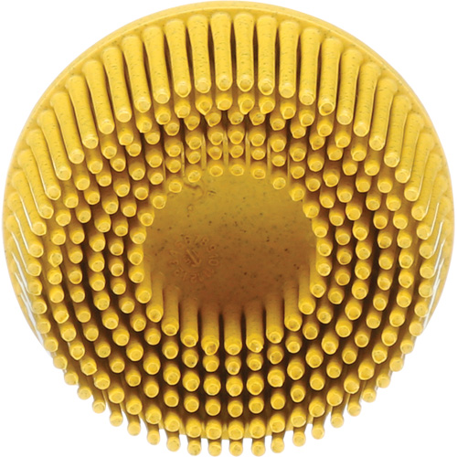 Scotch-Brite Roloc Bristle Disc, Ceramic, Medium Grit, 2" Dia. Northern Industrial Supply Inc.