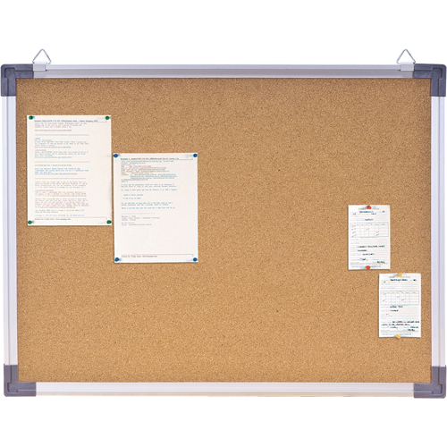 Corkboard, 18" H x 24" W Northern Industrial Supply Inc.