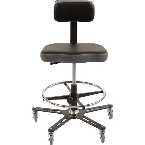 TF160 Industrial Grade Ergonomic Chair, Mobile, Adjustable Height, 300 lbs. Capacity Northern Industrial Supply Inc.