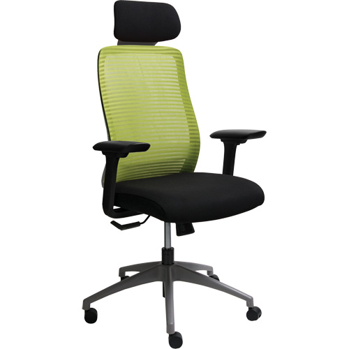 Chaise de bureau ajustable s&eacute;rie Era avec appui-t&ecirc;te, Tissu/Mailles, Vert, Capacit&eacute; 275 lb Northern Industrial Supply Inc.