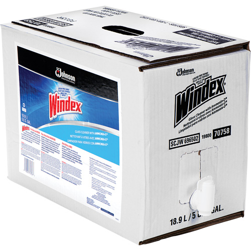 Nettoyant pour vitres Windex avec Ammoniac-D, 5 gal., Sac Northern Industrial Supply Inc.