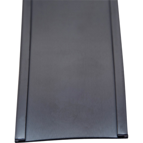 Porte-&eacute;tiquette, Magn&eacute;tique, 600" lo x 2" la Northern Industrial Supply Inc.