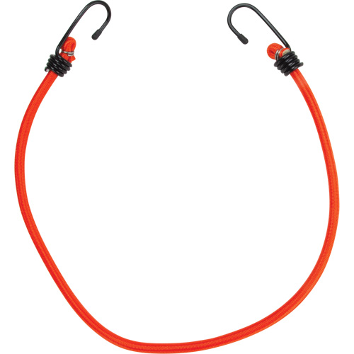 Sangles d'arrimage &eacute;lastiques, 24" Northern Industrial Supply Inc.