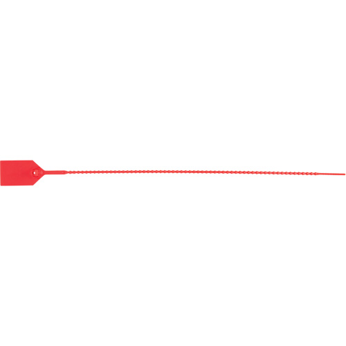 Scell&eacute; de s&eacute;curit&eacute; standard, 15", Plastique, Scell&eacute; en plastique Northern Industrial Supply Inc.