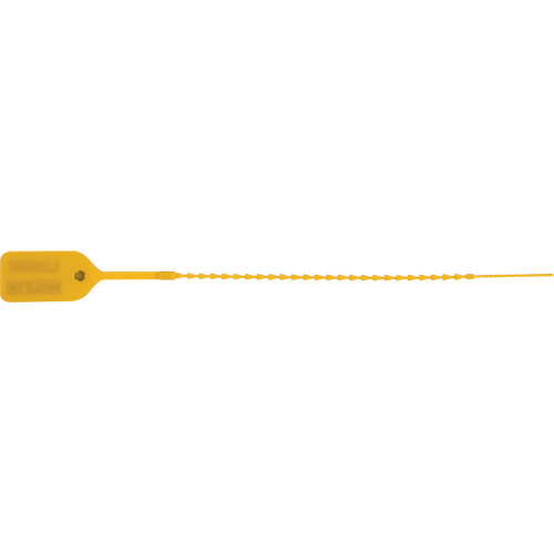 Scell&eacute; de s&eacute;curit&eacute; standard, 9", Plastique, Pousser et tirer Northern Industrial Supply Inc.