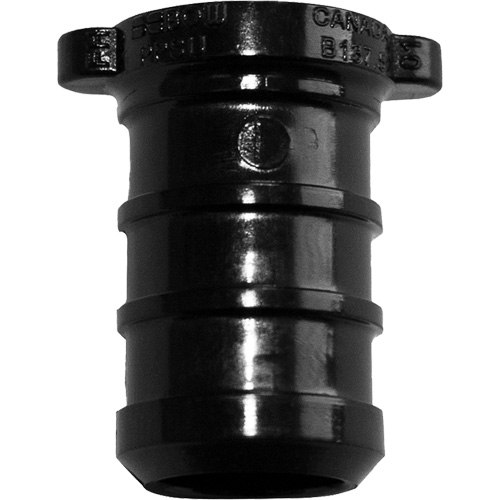 Pipe Plug, Pipe, 3/4" Dia., Polyalloy Northern Industrial Supply Inc.