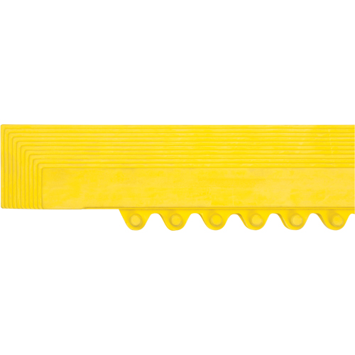Rampe de bordure pour tapis Northern Industrial Supply Inc.