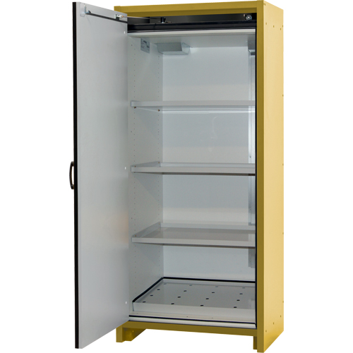 Armoire d'entreposage 30 minutes s&eacute;curitaire et conforme &agrave; la norme EN, 30 gal., 1 Porte(s), 34,02" La x 76,65" h x 24,21" p Northern Industrial Supply Inc.