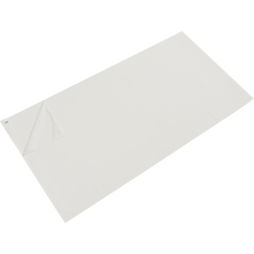 Tapis pelables de rechange pour salle blanche, &eacute;paisseur 1,57 mils, 2' la, 3' lo x Blanc Northern Industrial Supply Inc.