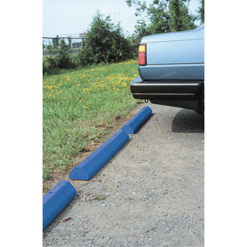 Butoirs pour voitures, Plastique, 6' l, Bleu Northern Industrial Supply Inc.