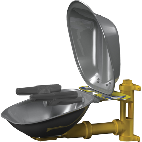 Halo Face/Eyewash Stations, Wall-Mount Installation, Stainless Steel Bowl Northern Industrial Supply Inc.