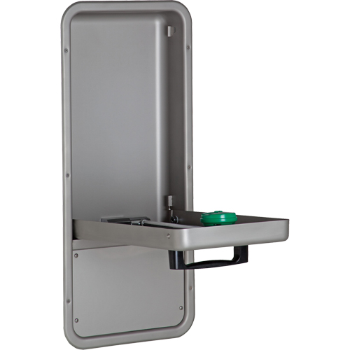 Eye/Face Wash Station, Wall-Mount Installation, Stainless Steel Bowl Northern Industrial Supply Inc.