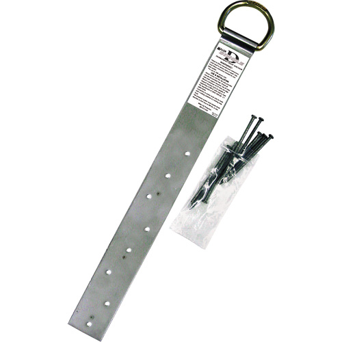 Miller&reg; Single Roof Anchor, D-Ring, Permanent Use Northern Industrial Supply Inc.