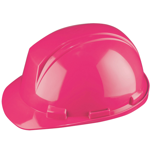 Dynamic Mont-Blanc Hardhat, Meets CSA Type 2, Pinlock Suspension, Non-Vented Northern Industrial Supply Inc.