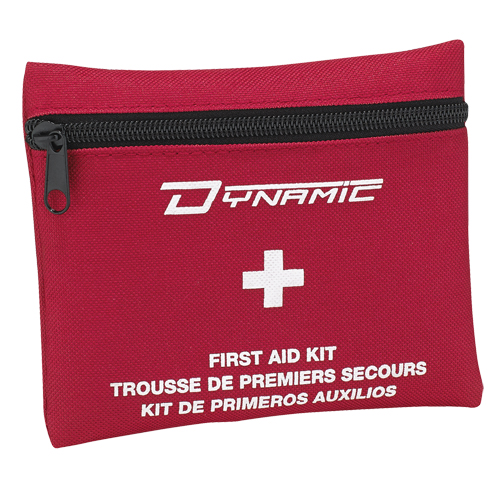 Trousse de premiers soins pour travaux forestiers Dynamic, Dispositif m&eacute;dical Classe 1, Sac en nylon Northern Industrial Supply Inc.