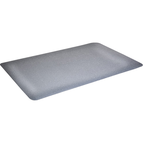 Tapis antimicrobiens WD Foodmaster, Lisse, 3' x 4' x 9/16", Gris, Nitrile/Caoutchouc Northern Industrial Supply Inc.