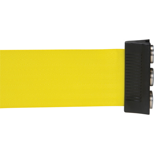 Wall Mount Barrier with Magnetic Tape, Steel, Screw Mount, 12', Yellow Tape Northern Industrial Supply Inc.