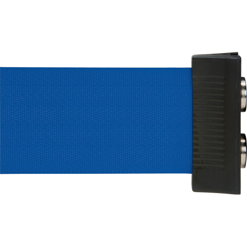 Barri&egrave;re &agrave; fixation murale avec ruban magn&eacute;tique, Acier, Fixation par vis, 7', Ruban Bleu Northern Industrial Supply Inc.