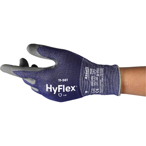 Gants r&eacute;sistants aux coupures HyFlex 11-561, Taille 5, Calibre 15, Rev&ecirc;tement Nitrile, Enveloppe en Intercept, EN 388 niveau C Northern Industrial Supply Inc.