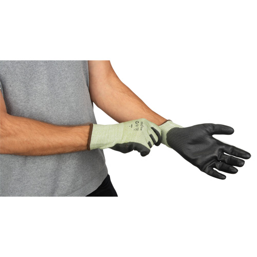 Gants &eacute;lastiques &eacute;cologiques sans coutures r&eacute;sistants &agrave; la coupe, Taille 9, Calibre 13, Rev&ecirc;tement Polyur&eacute;thane, Enveloppe en PEHP/rPET, ASTM ANSI niveau A4 Northern Industrial Supply Inc.